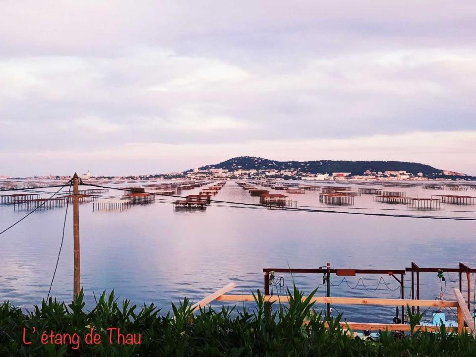 Sète Bon Cap Corniche 3 Etoiles Avec Terrasse Clim Vue Mer Parking מראה חיצוני תמונה